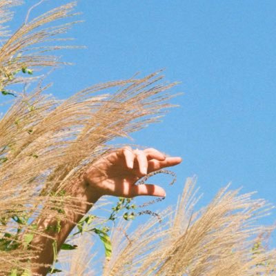 mandimapes's profile picture. Daffodil Floors 🌼 OUT NOW 🌼 https://t.co/O1lbDvlpfj