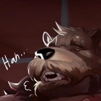 Barn Bear (@raunchraccoon) 's Twitter Profile