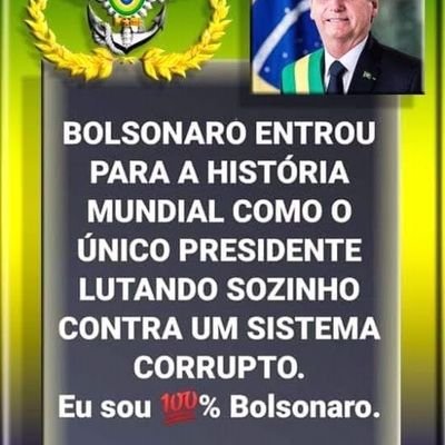 brasileiro casado amo meu país a minha bandeira verde e amarela jamais será vermelha 100% patriota 100% flamenguista Brasil acima de tudo e Deus acima de todos