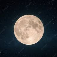 iitsuki_23's profile picture. 情報系/Flutter/社会人初心者マーク3つくらい付けてます