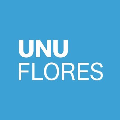 UNU_FLORES Profile Picture