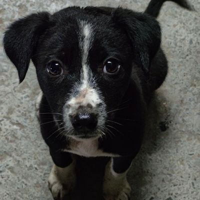 ___kalyug___'s profile picture. I'm broken, only divorced milf can fix me.