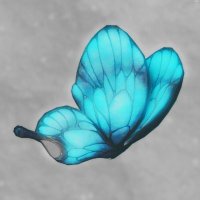 𝚁𝚎𝚗𝚎𝚎 るね🦋 (@renee_zzzzz) 's Twitter Profile Photo 𝚁𝚎𝚗𝚎𝚎 るね🦋 (@renee_zzzzz) 's Twitter Profile Photo