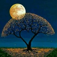 ali (@ali28339904) 's Twitter Profile