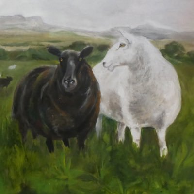 mgmcmorrin's profile picture. Artist,ceramicist, filmmaker