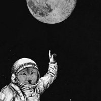 π‘-πππππππ (@doge1_token) 's Twitter Profile