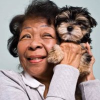 Aleus Dartybo (@dartybo) 's Twitter Profile