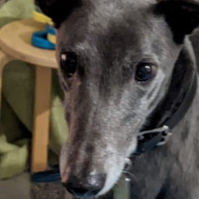 SusanSa86246928's profile picture. 