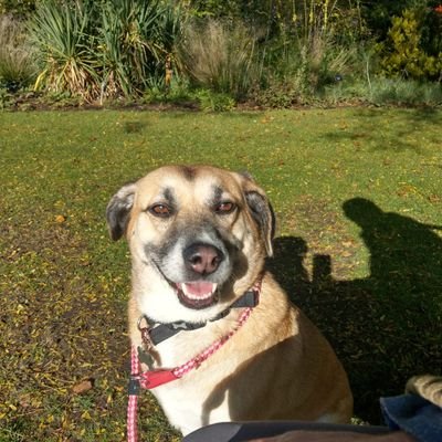 Wowlywilly's profile picture. I've done some things !
National Association for People Abused as Children helpline volunteer