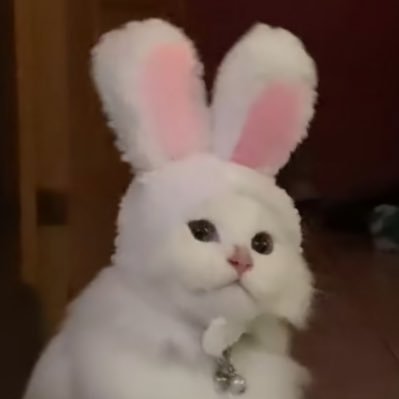 @scp-049-春さんのプロフィール画像