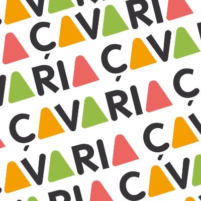 Çavaria komt op voor gender- en seksuele diversiteit.