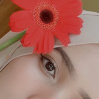 hafsha (@hafsha01) 's Twitter Profile