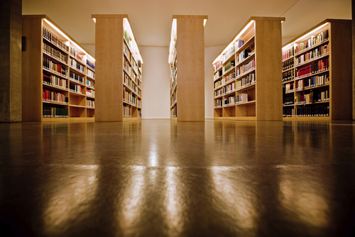 infiniteprofits's profile picture. NPO Funding Consultant