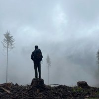 noah (@noah_janzing) 's Twitter Profile