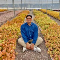 El chico de las suculentas (@chicosuculentas) 's Twitter Profile Photo El chico de las suculentas (@chicosuculentas) 's Twitter Profile Photo