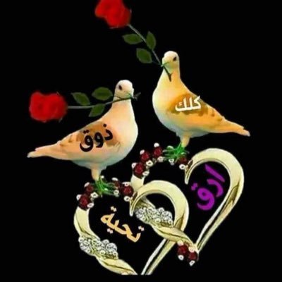 BNeoswxVWFD3Lkt's profile picture. 