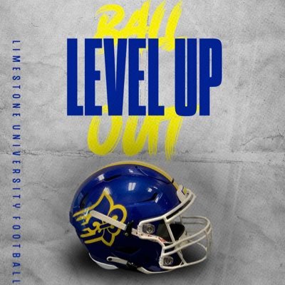 DEFENSIVE COORDINATOR AT LIMESTONE UNIVERSITY