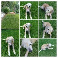 MarliMatte Recomeço (@mattemarli) 's Twitter Profile