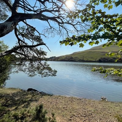 monaghan_miss1's profile picture. P1H class teacher at Echline Primary School