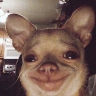 Noxolo_Lerato's profile picture. I have a guardian angel in heaven.🕊🤍