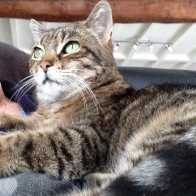 CB154565's profile picture. 