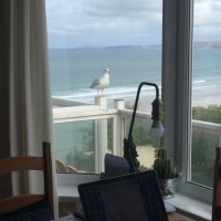 Hannah Gould PR (@gouldzilla_pr) 's Twitter Profile