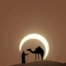 ShuoKaio's profile picture. 26ans 🤲🏽🕋 « الجاهل أسعد من العلماء »