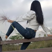 0311石家庄夫妻 (@liusora3) 's Twitter Profile