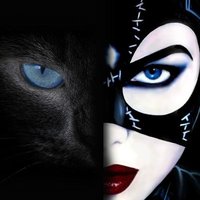 CAT WOMAN(@silvyalit) 's Twitter Profile Photo