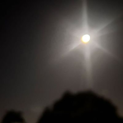 notintere5ted's profile picture. 