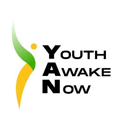 YAN provides a platform for all Nigerian Youths to interrogate the manifesto of Political office holders and candidates by thier legal right to Yan real time.