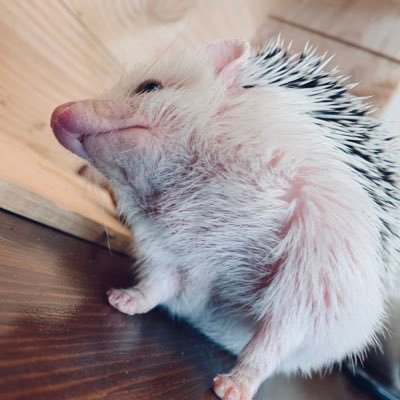 kenさんのプロフィール画像