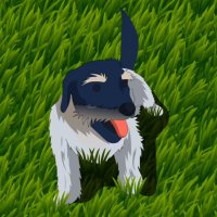 Carranza (@stonkygems) 's Twitter Profile
