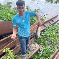 Hậu Nguyễn Hoài (@hauhoaing98) 's Twitter Profile