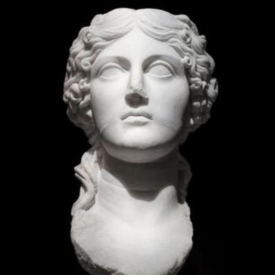 Hija del general Agripa, nieta del emperador Augusto y esposa del general Germánico. Feliz esposa y madre de Nerón, Druso, Cayo, Livila, Drusila y Agripina.