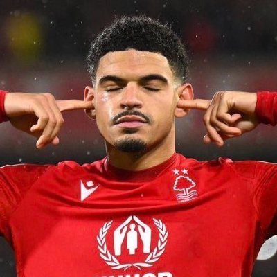 NFFC_FPL Profile Picture