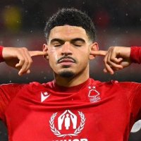 FPL Forest (@nffc_fpl) 's Twitter Profile