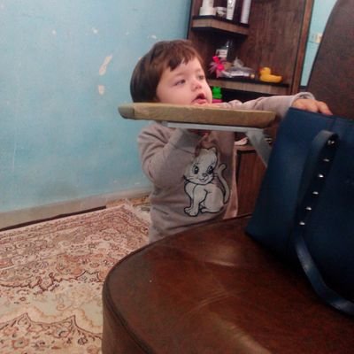 دانشجوی کم سواد حقوق
کلمه است که باقی می ماند...
