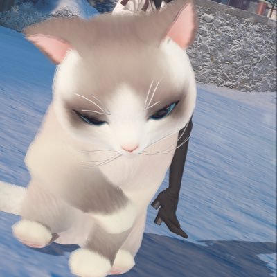 黒ねこさんのプロフィール画像