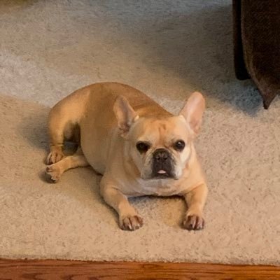 Mcgrath17Thomas's profile picture. 