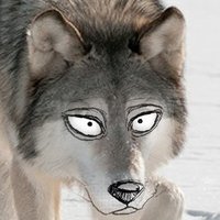 Ironwolf6464(@ironwolf6464) 's Twitter Profileg