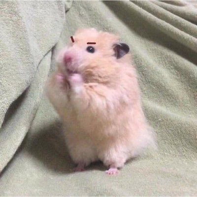 catimtungtang's profile picture. 