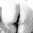 Ella_y_'s profile image