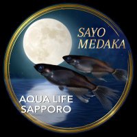 SAYO めだか (@sayo_6_4) 's Twitter Profile