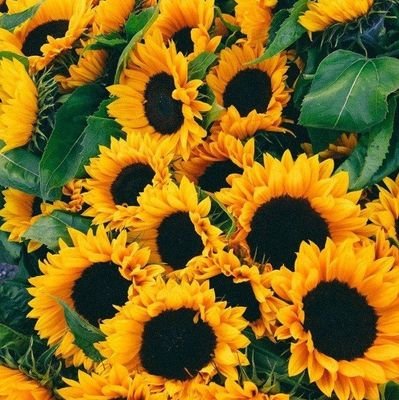 Na270699's profile picture. แอคล็อคใหม่น้องซี ไม่ต้องฟอลมาไม่รับ ถ้าอยากเข้า ฟอลแอคหลักมาก่อน เข้าใจเนอะ 🙄 @nazee7839