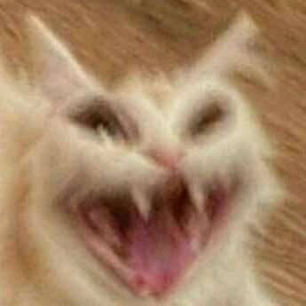 Marcleidejsc's profile picture. siga-me os bons!