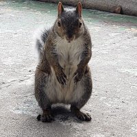 makinthemagic (@makinthemagic) 's Twitter Profile
