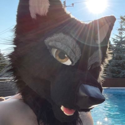 Big Bad Wolfie Profile