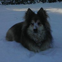 jakes@weeter (@jakesweeter1) 's Twitter Profile