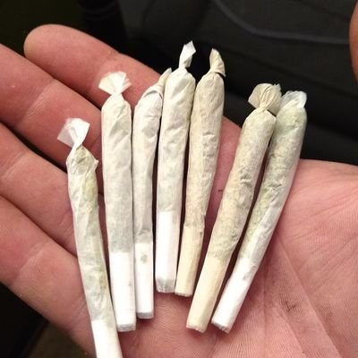 90sDAREdropout's profile picture. “It’d be a lot cooler if you did.”